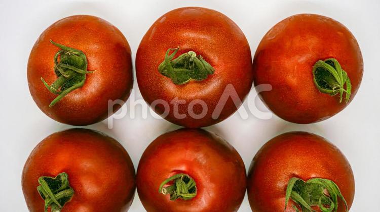 完熟ミニトマト トマト,ミニトマト,完熟の写真素材