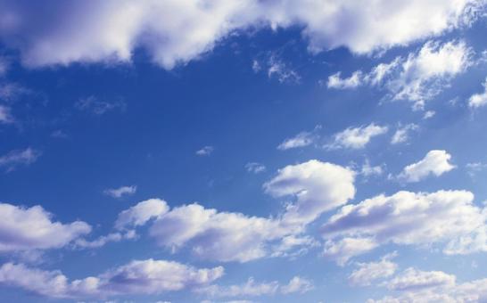 青空 雲 青空 雲の写真