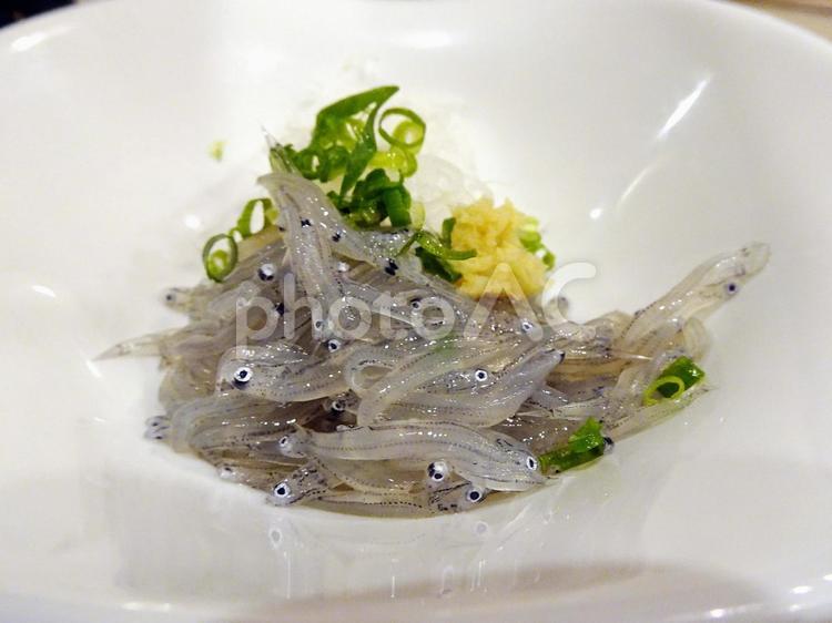 生シラス 生しらす,新鮮,静岡名物の写真素材