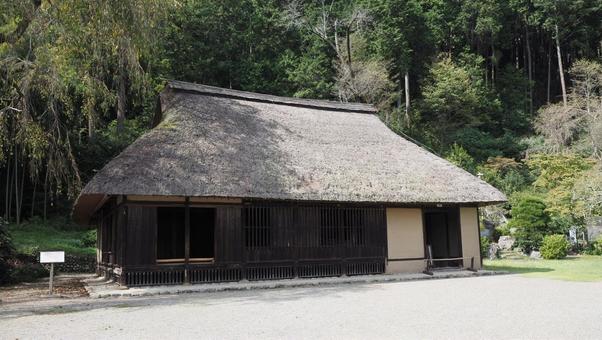 秋の高麗神社・古民家（埼玉県・日高市） 秋,高麗神社,境内の写真素材