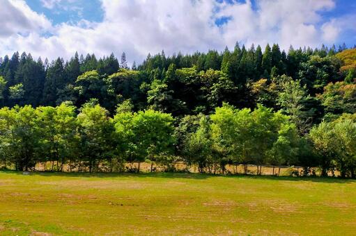 2025年10月の里山15 山間部,川原,河川敷の写真素材