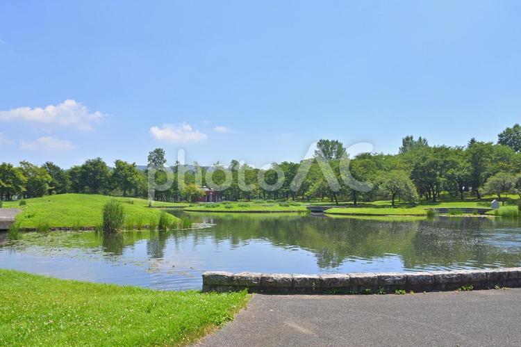 みちのく杜の湖畔公園 公園,花,水の写真素材