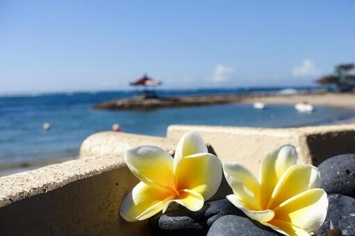 南国リゾート地のビーチとプルメリア プルメリア,リゾート,南国の写真素材