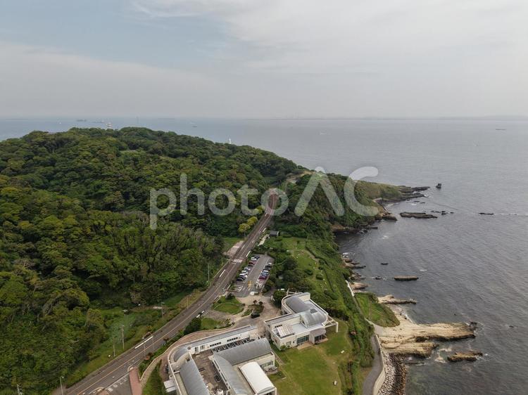 横須賀・たたら浜 ドローン,空撮,たらら浜の写真素材