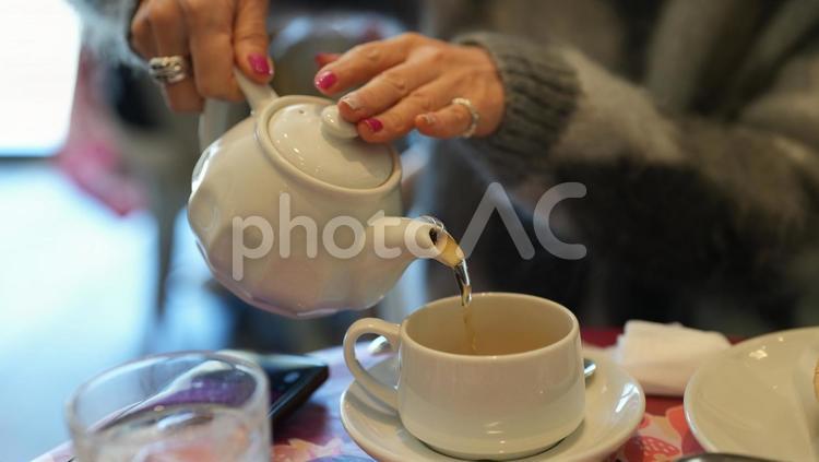 お茶を注ぐ女性の手 女性,お茶,手の写真素材