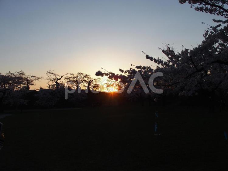 北海道　函館　五稜郭公園 北海道,函館,五稜郭公園の写真素材