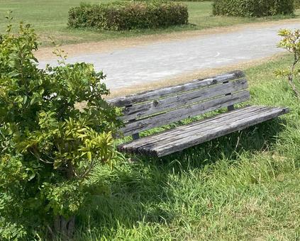 Photo, bench, break, wooden, 