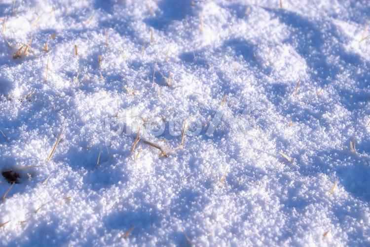 日差しを浴びた雪のテクスチャ 冬,テクスチャ,雪の写真素材