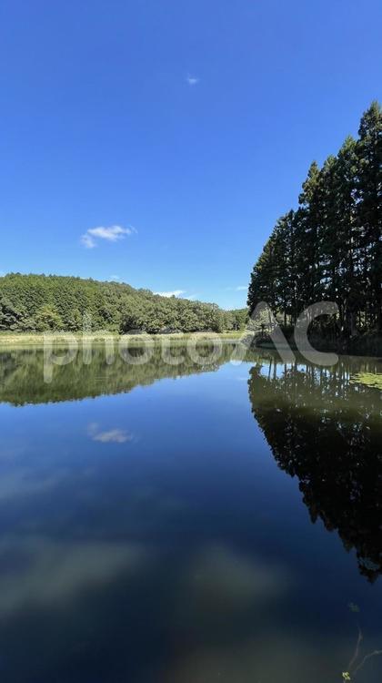 【奈良】龍王ヶ渕の風景 龍王ヶ渕,水鏡,池の写真素材