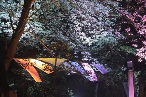 江ノ島灯篭、夕暮れ時の写真