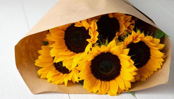 ひまわりの切り花の花束 ひまわりの切り花の花束の写真