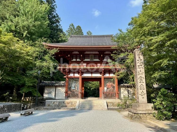 夕陽に映える室生寺山門 室生寺,風景,寺社仏閣の写真素材