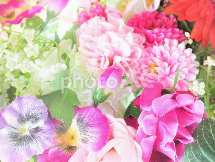 背景（ピンクの花・ふんわり） 背景,ピンクの花,ピンクの写真素材