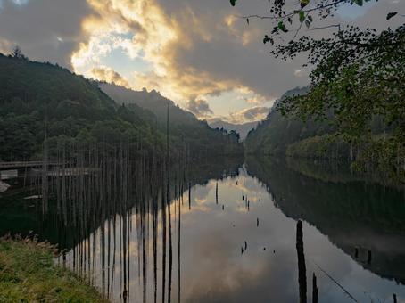 自然湖 自然湖 枯れた木,水辺,影の写真素材