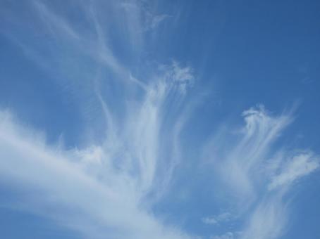 青空に流れる白い薄い雲 青空に流れる白い薄い雲の写真