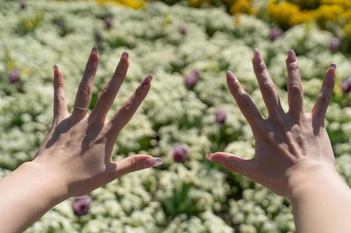春の花畑に広げた両手① 春の花畑に広げた両手①の写真
