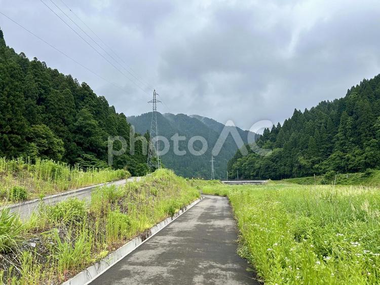 河川敷の小道 道,小道,川岸の写真素材