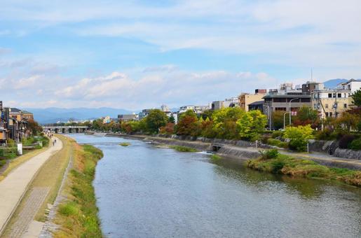 京都 鴨川 鴨川,川,河川の写真素材