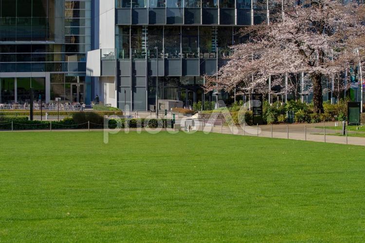 東京赤坂東京ミッドタウンの春の風景 東京ミッドタウン,檜町公園,緑の写真素材