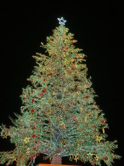 クリスマスツリー(縦写真2) クリスマスツリー(縦写真2)の写真