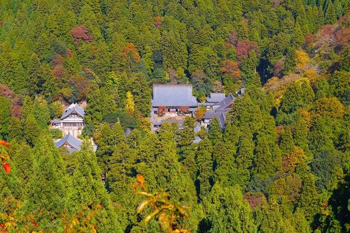 紅葉の永平寺:33 紅葉の永平寺:33 永平寺,紅葉,もみじの写真素材