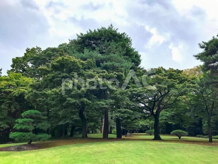 殿ヶ谷戸庭園（東京） 東京都,国分寺市,南町の写真素材
