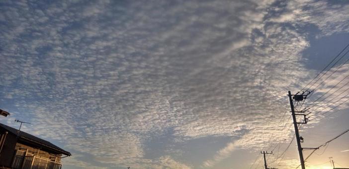 うろこ雲 うろこ雲の写真