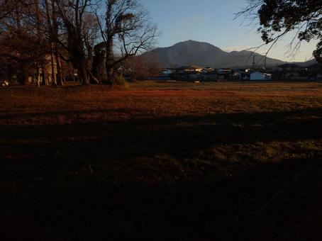 朝の景色 朝の景色の写真