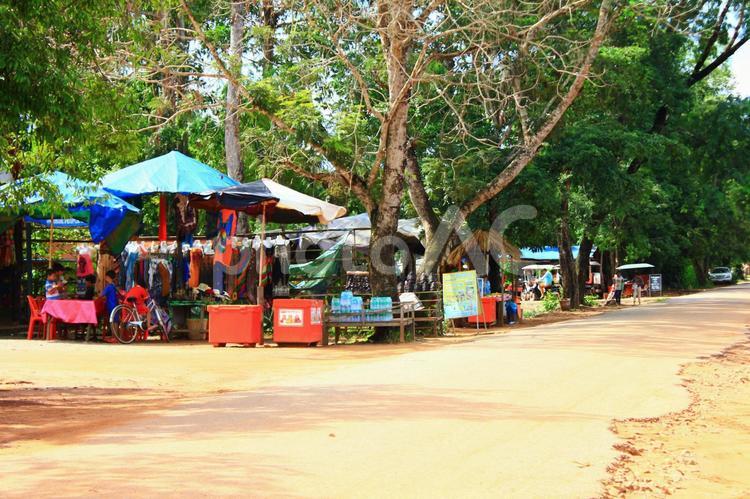 カンボジアの風景 カンボジア,東南アジア,アジアの写真素材
