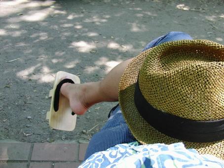 夏の日 夏の日の写真