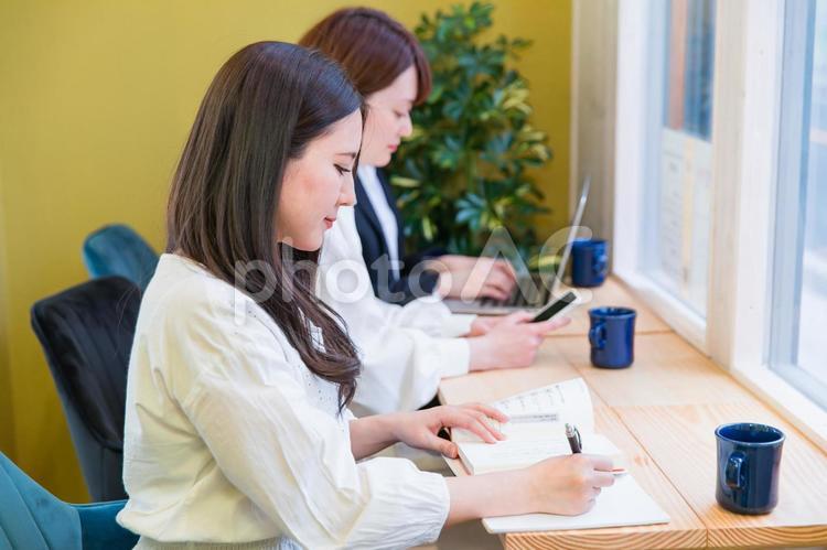 カフェの窓際カウンター席にいる女性（勉強） 勉強,学習,本の写真素材