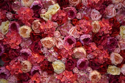 薔薇2 薔薇2の写真