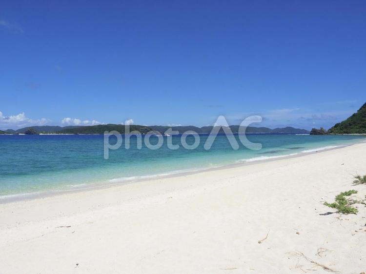 美しい砂浜、ニシバマビーチ（座間味村） 美しい砂浜,白い砂浜,沖縄の写真素材