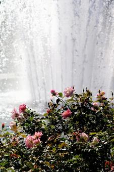 噴水の6 噴水の6の写真