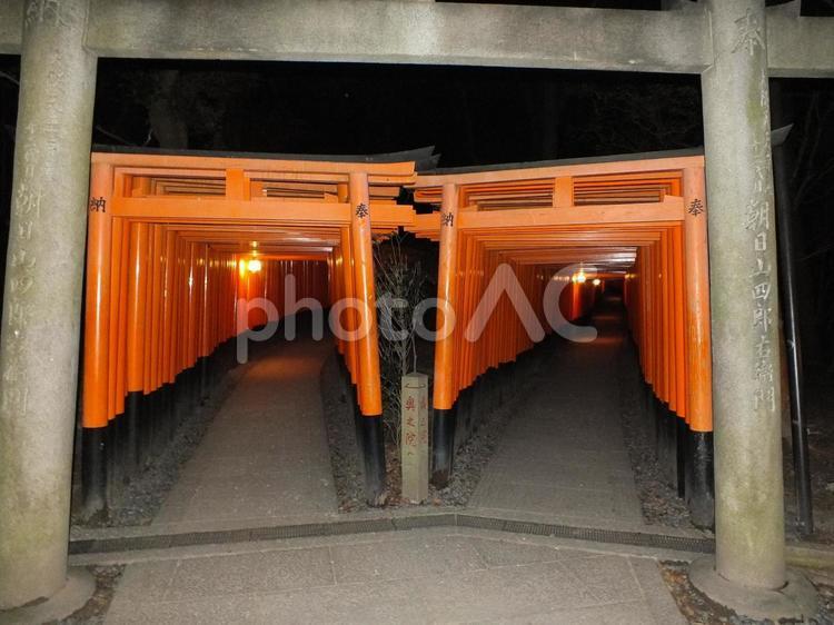 真夜中の伏見稲荷千本鳥居分かれ道 人気スポット,旅先,日本の写真素材