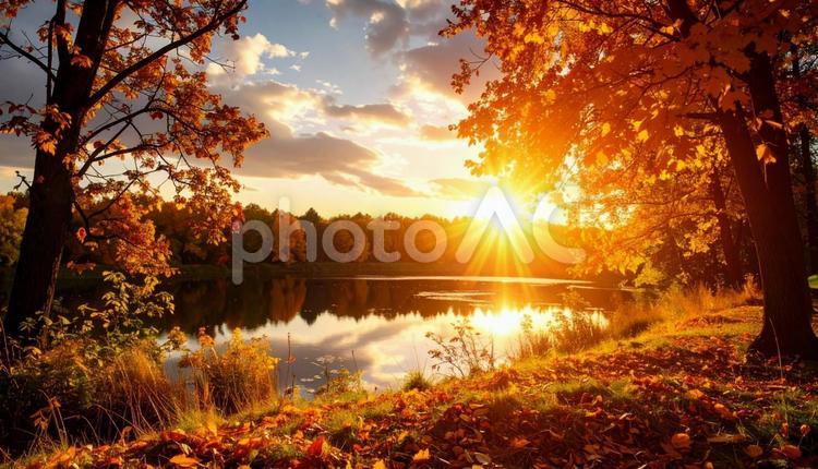 秋のイメージの風景写真 秋,風景,写真の写真素材