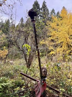 かかしのマネキン かかし,マネキン,頭部の写真素材