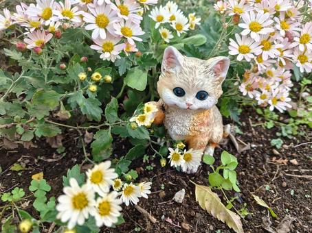 野菊と猫の置物 秋,猫,置物の写真素材