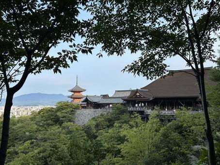 清水寺 清水寺 旅行,風景,和風の写真素材