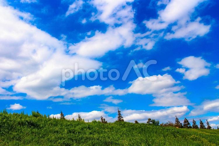 おだやかな空と丘の風景 青空,空,緑の写真素材