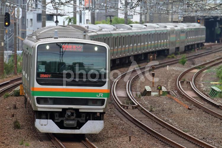 JR東日本、E231系、湘南新宿ライン jr,jr東日本,e231系の写真素材