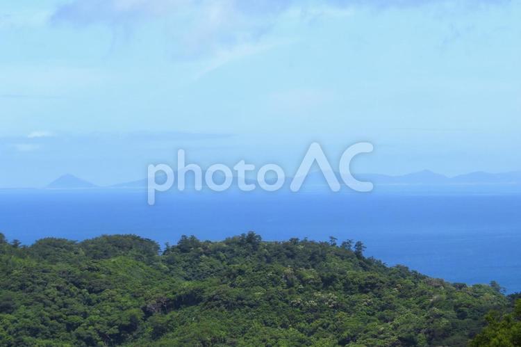 夏の風景　やんばるの森と海 やんばるの森,東シナ海,青空の写真素材