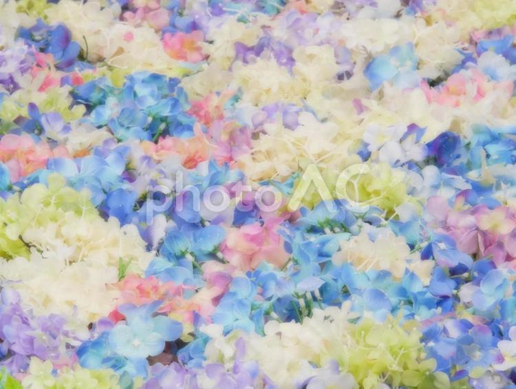 色とりどりの水中華（造花） 黄色,水中花,カラフルの写真素材