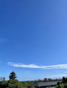 流されての写真