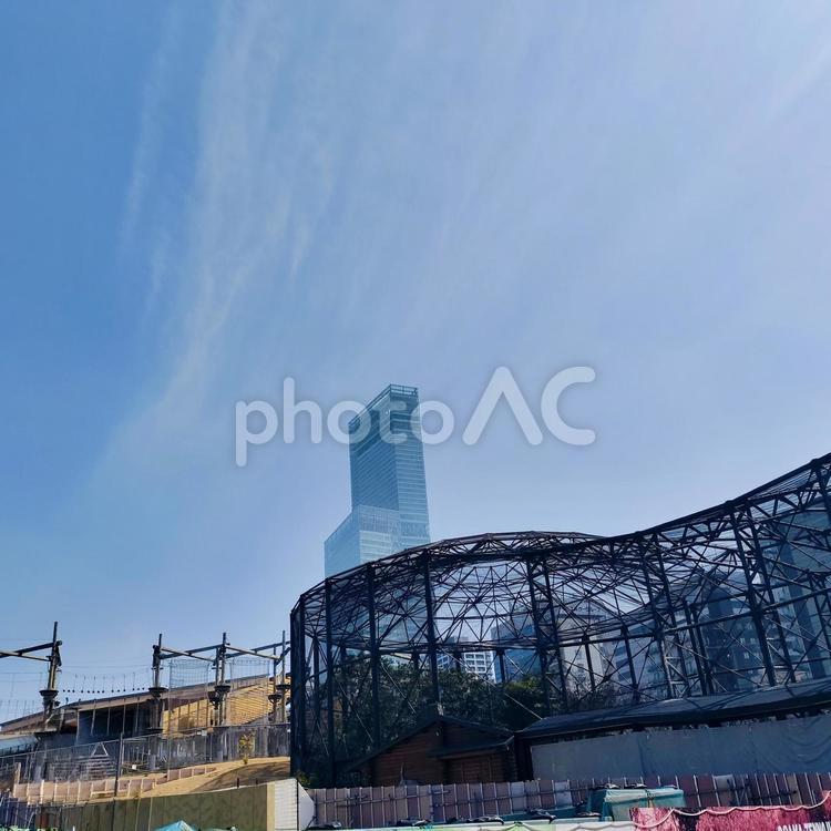 天王寺動物園から見るあべのハルカス 動物園,あべのハルカス,天王寺の写真素材