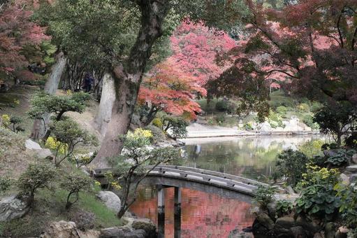 縮景園紅葉 広島県,広島市,名勝の写真素材