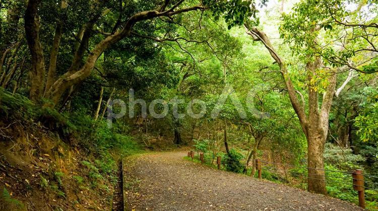 福岡県、宗像市のハイキングコース アウトドア,登山者,ウォーキングの写真素材