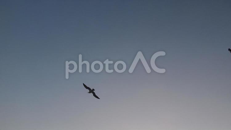 海辺の夕日 海辺の夕日,夕日,海の写真素材