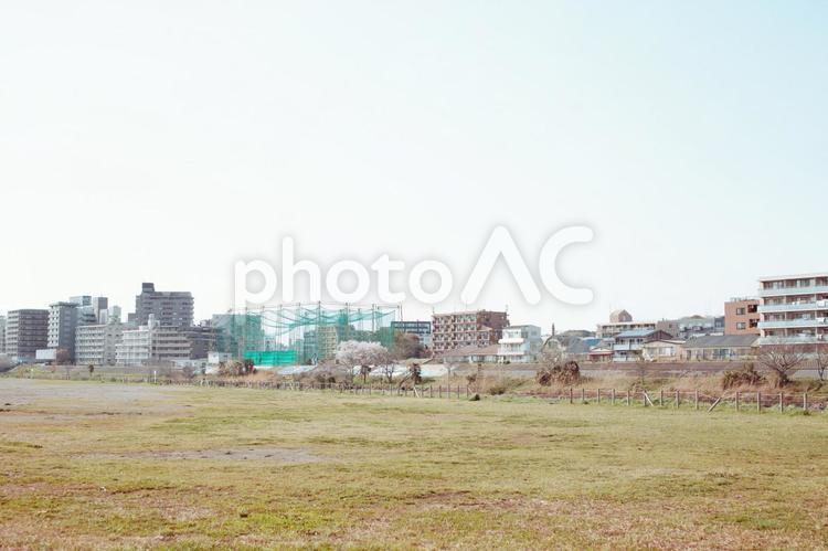 川沿いの風景 土手,川沿い,広場の写真素材