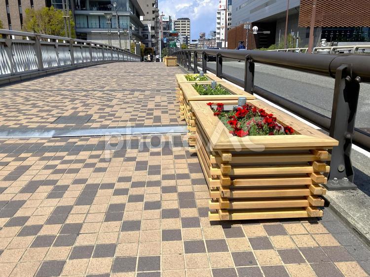 歩道に設置された花 花,花壇,道端の写真素材